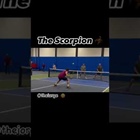 Is this a scorpion or something else? 🎥: IG/@jorge_quintero_pb #pickleball #pickleballdoubles