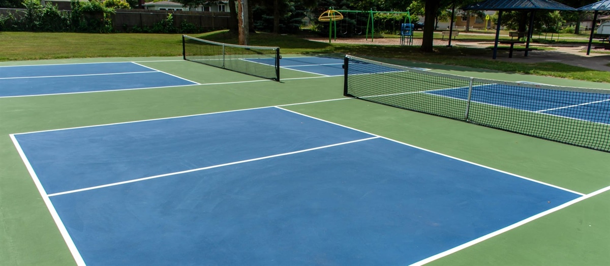 "Net Bandit" Terrorizes Pickleball Courts in New York