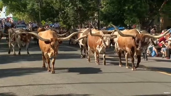 Greeley Stampede picks grand marshals for Independence Day parade