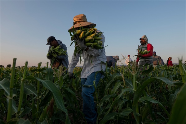 This organization has effectively eliminated agricultural worker abuse. Will Colorado farmers join the cause?