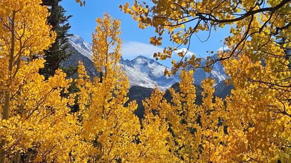 9 hikes where you can see fall colors in Colorado