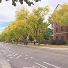 Fort Collins police continue suspect search after aggravated assault with knife on CSU campus