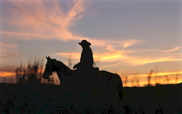 Ahead of second wolf release, CPW offers conflict reduction training to ranchers