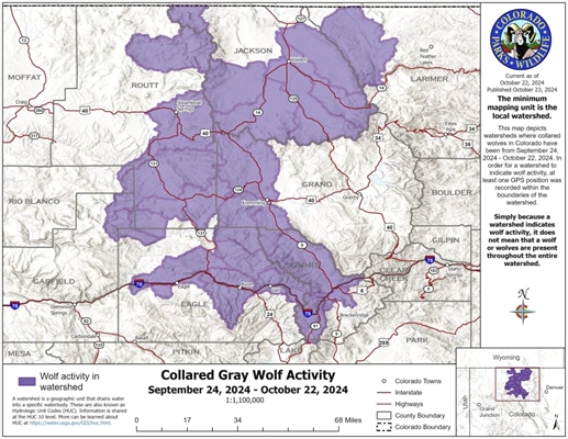 Here’s what Colorado’s wolves have been up to the last month   