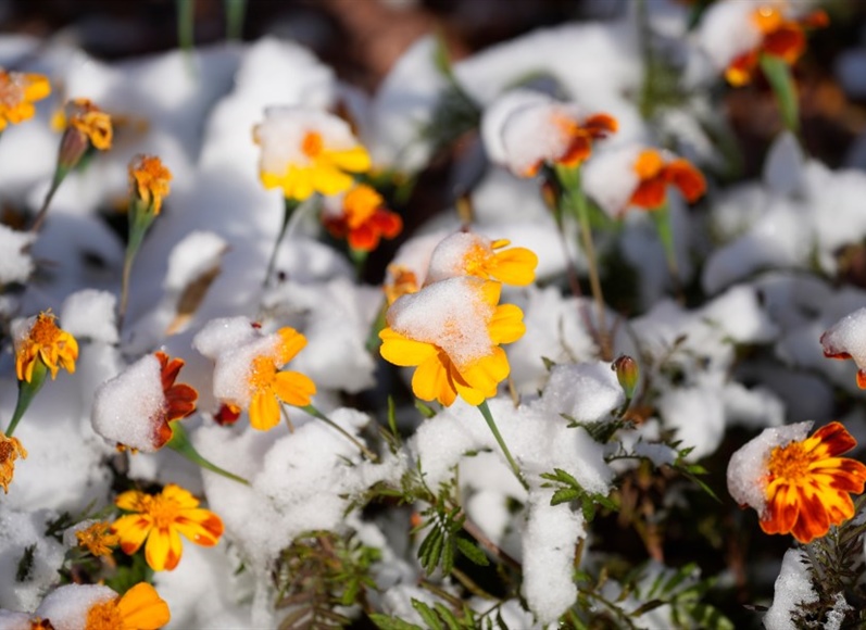 Denver weather: First snow possibly coming soon – Here's what to expect