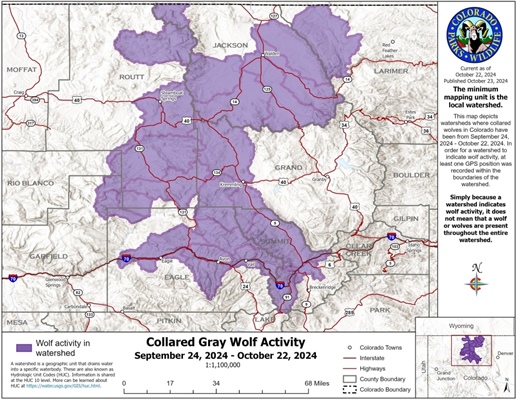 Map shows where Colorado’s known free-roaming wolves traveled in October