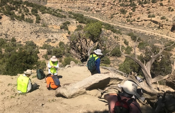 Paleontologists unearth 70-million-year-old 'swamp dweller' fossil in Colorado