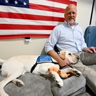 “He’s the most popular employee”: Boulder County recruits two new dogs in sheriff’s and DA’s offices