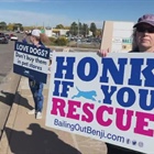 Centennial pet store owner disputes protesters' claim that store gets dogs from puppy mills