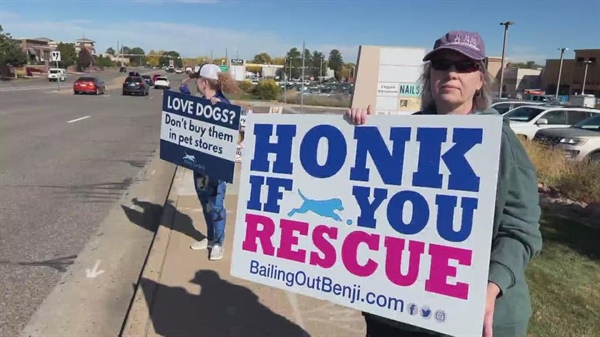 Centennial pet store owner disputes protesters' claim that store gets dogs from puppy mills