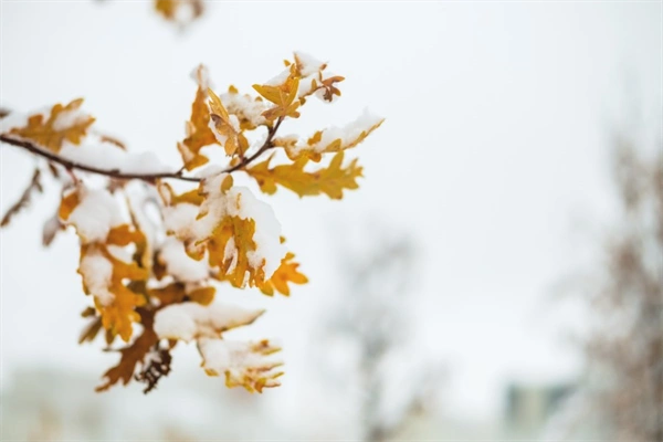 How much snow is expected across the Front Range on Wednesday