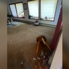 Evergreen Airbnb left trashed after renters host a large party at the home